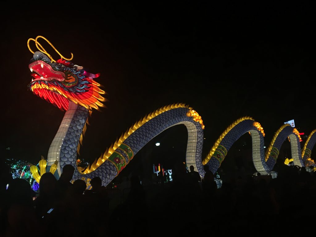 Large dragon lantern